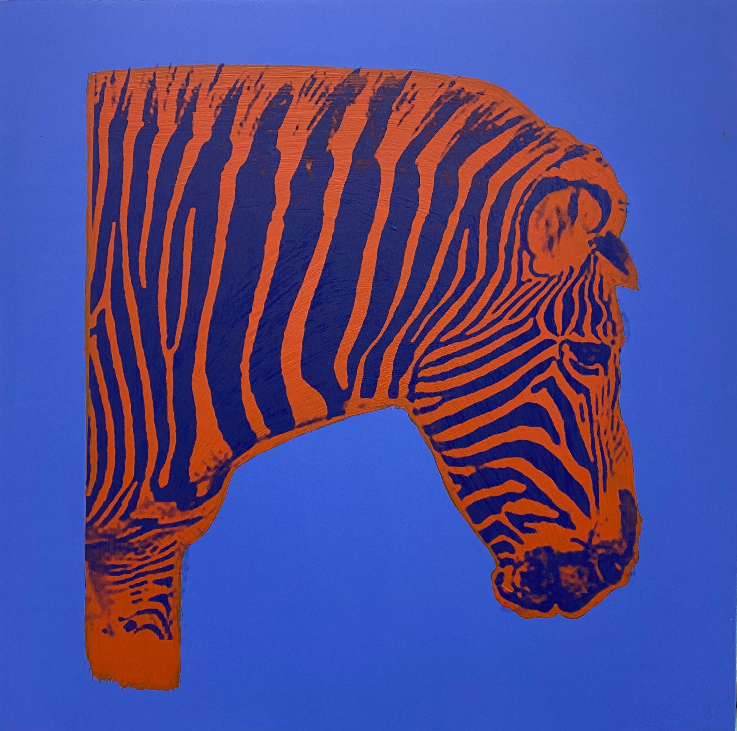Red and Blue Zebra
